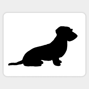 Dachshund Sticker